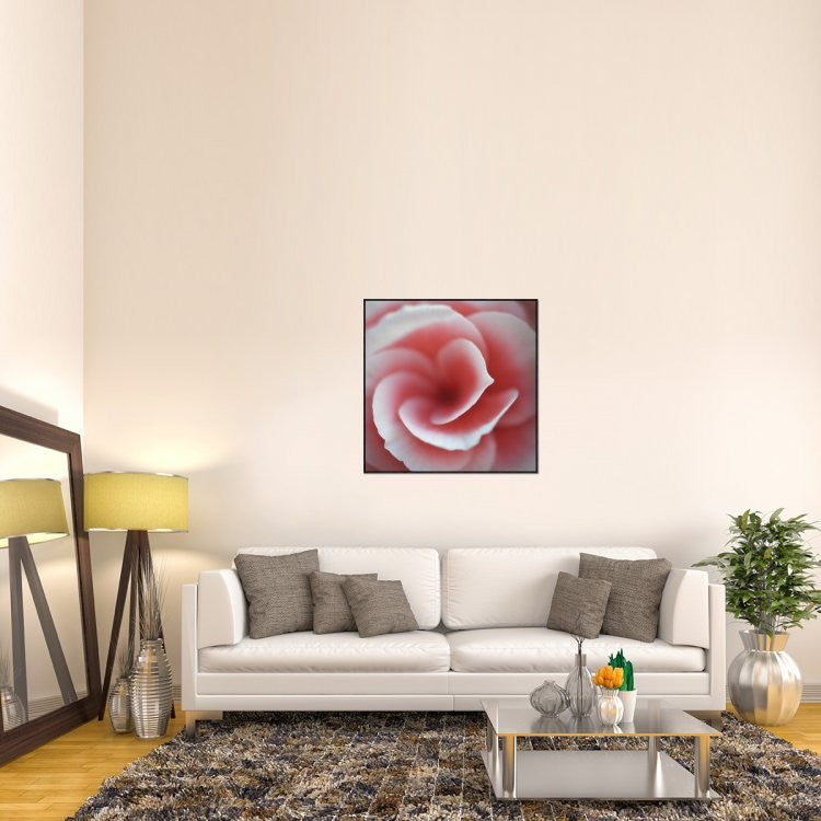 Begonia, 36"x36"