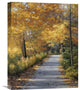 "Late Fall" Artwork, 16" x 20"