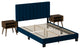 Coyote Bed in a Box, Blue