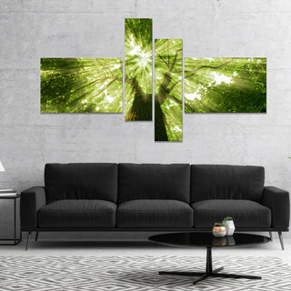 Sunlight Peeking through Green Tree, Landscape Canvas Print, 60"x32", 4 panels