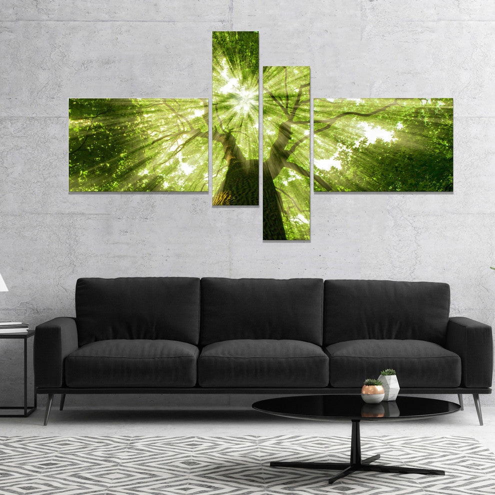 Sunlight Peeking through Green Tree, Landscape Canvas Print, 60"x32", 4 panels