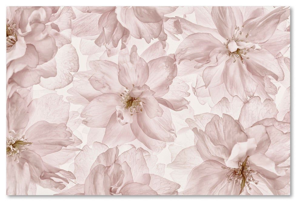 Cora Niele 'Translucent Cherry Blossom' Canvas Art