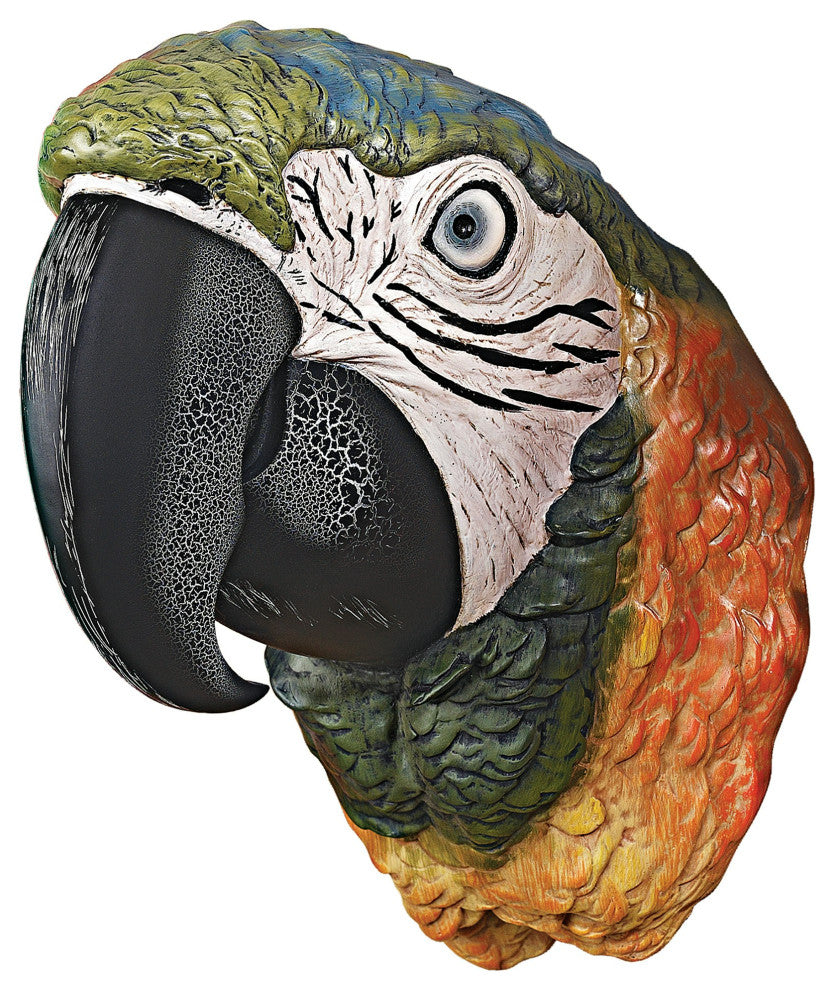 Paradise Parrot Head Wall Sculpture