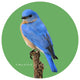 Andreas Bluebird Jar Opener