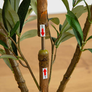 Overlayed measurements/labels on trunk; not a pure product photo.