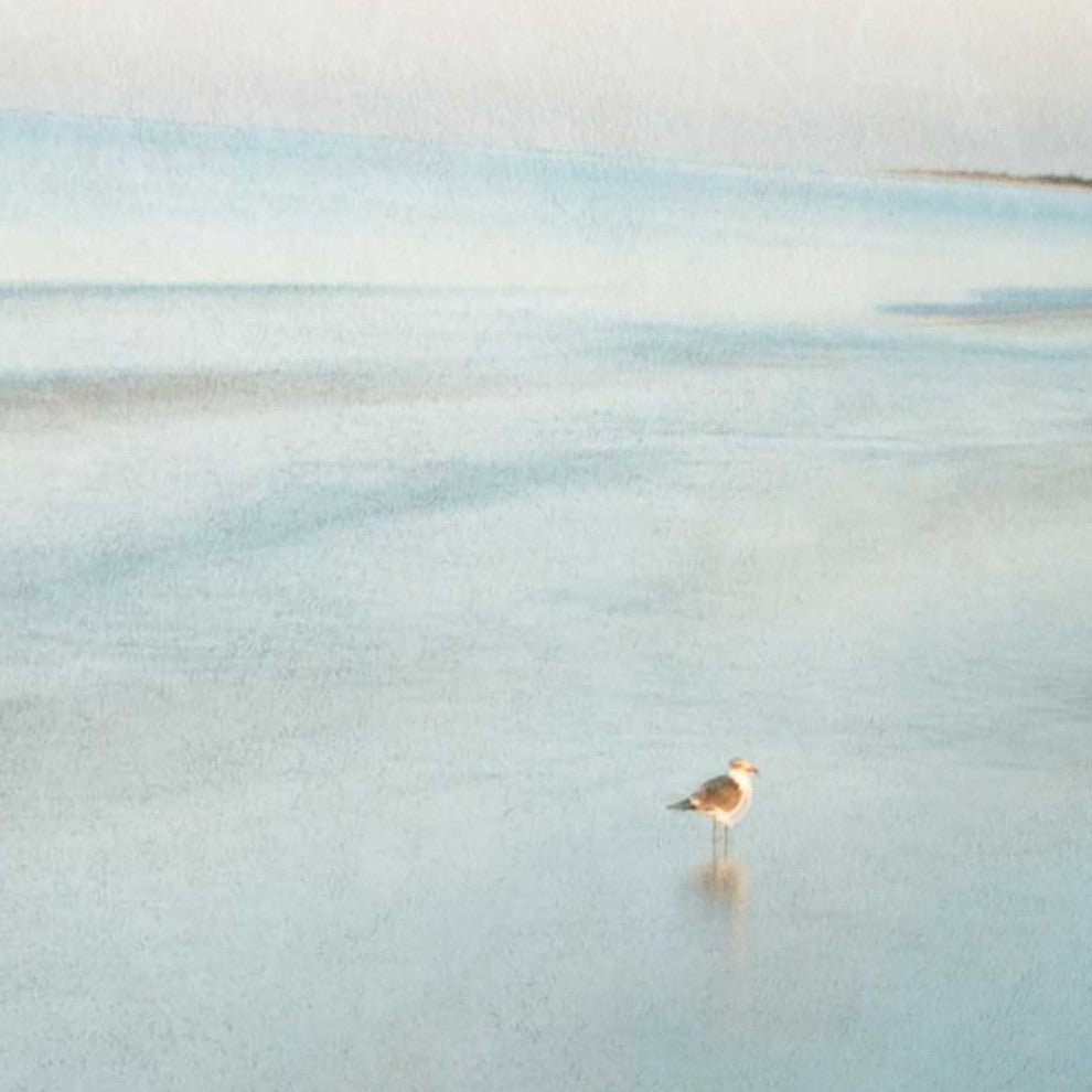 20" Coastal Two Seagulls on the Beach Giclee Wrap Canvas Wall Art
