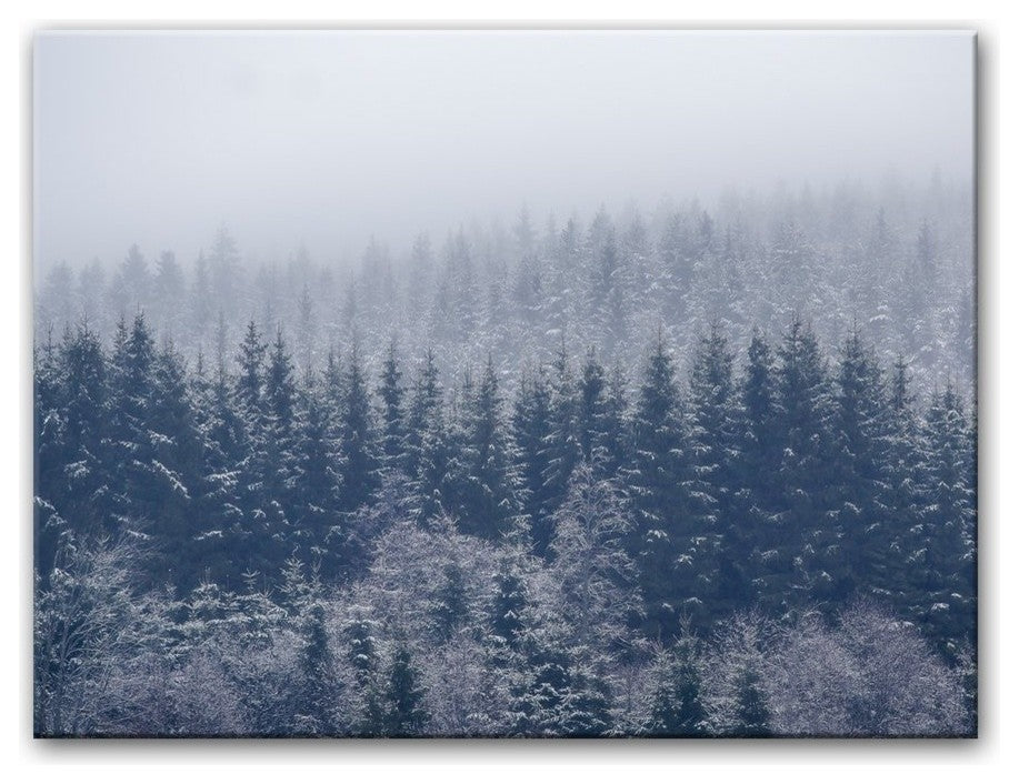 Frozen Trees'' Canvas Wall Decor