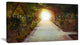 "Path to Magical Mystery Woods" Landscape Canvas Photo Print, 32"x16"