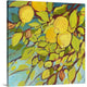 The Lemons Above Wrapped Canvas Art Print, 30"x30"x1.5"