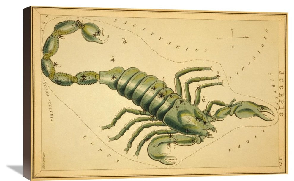 "Scorpio, 1825" Stretched Canvas Giclee by Jehoshaphat Aspin, 30"x20"