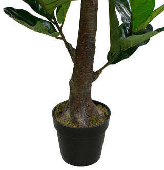 Close-up of trunk and pot on white background (cropped/zoomed view).
