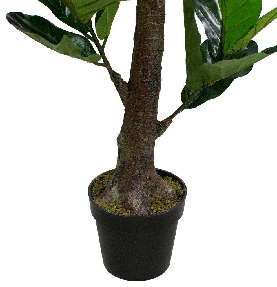 Close-up of trunk and pot on white background (cropped/zoomed view).