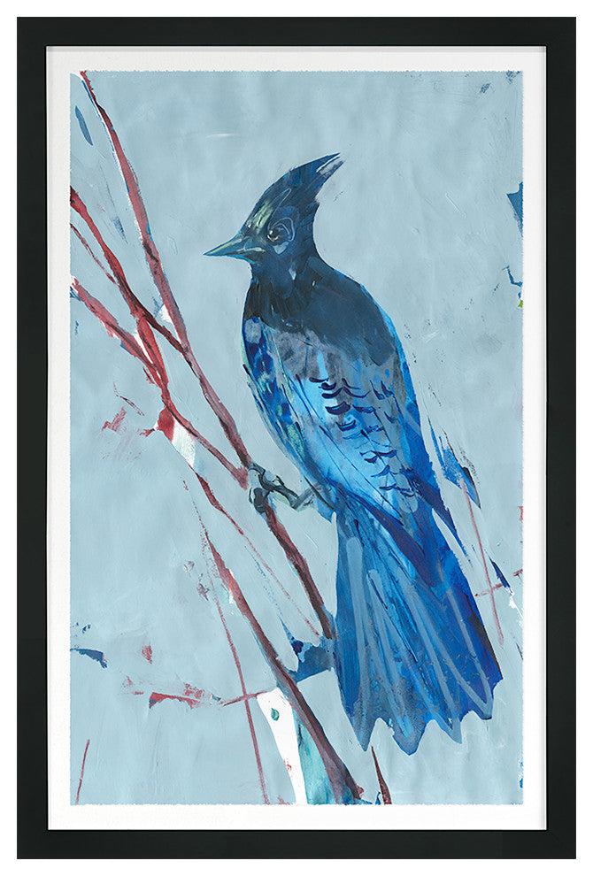 Blue Jay 3 Fine Art Print, Black, 45"x30"