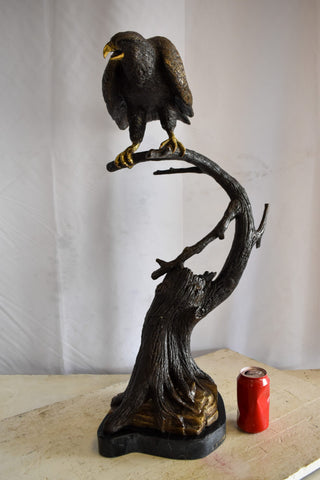 Observant Hawk on Arched Branch Bronze Statue 17" x 19" x 32"H