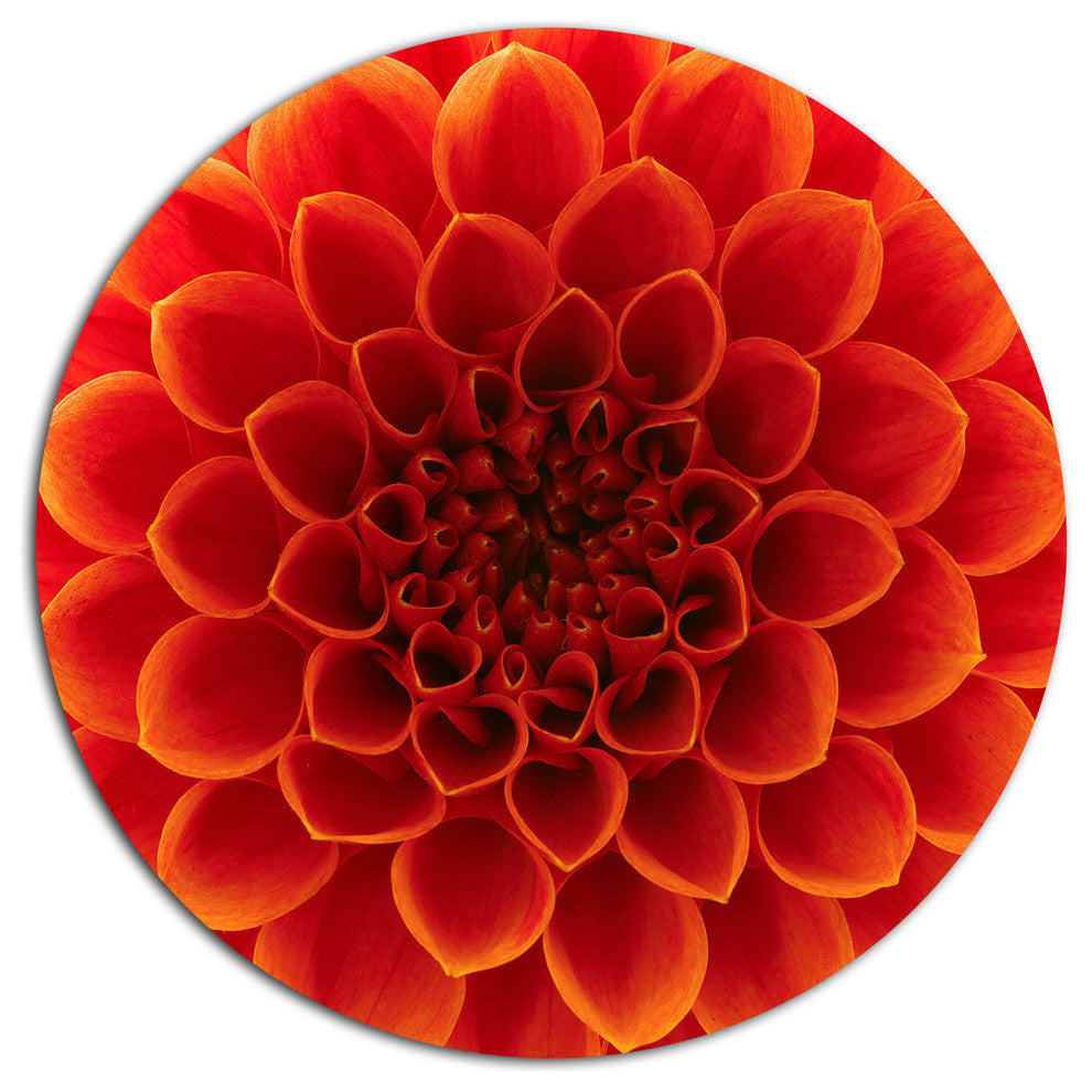 Close-Up Orange Flower Petals, Floral Large Disc Metal Wall Art, 23"