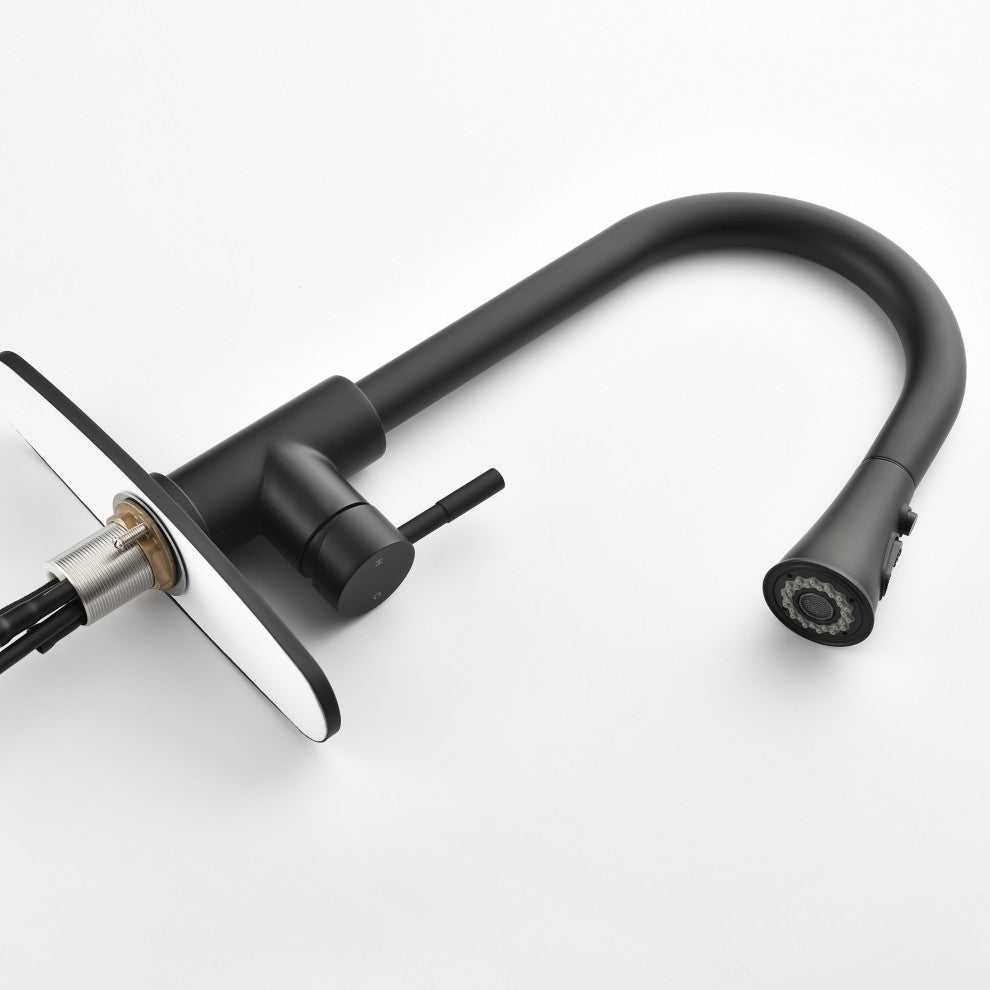 Wellfor Stainless Steel Kitchen Sink Faucet with Pull Down Spray, Matte Black