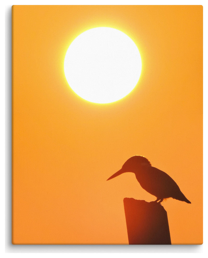 Kingfisher Bird Silhouette Sunset Animal Wildlife Photo Canvas Wall Art Prints, 16" X 20"