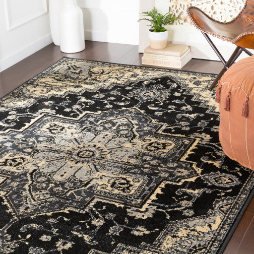 Surya Paramount PAR-1090 5'3"x7'9" Rug, Black/Charcoal/Khaki/Beige