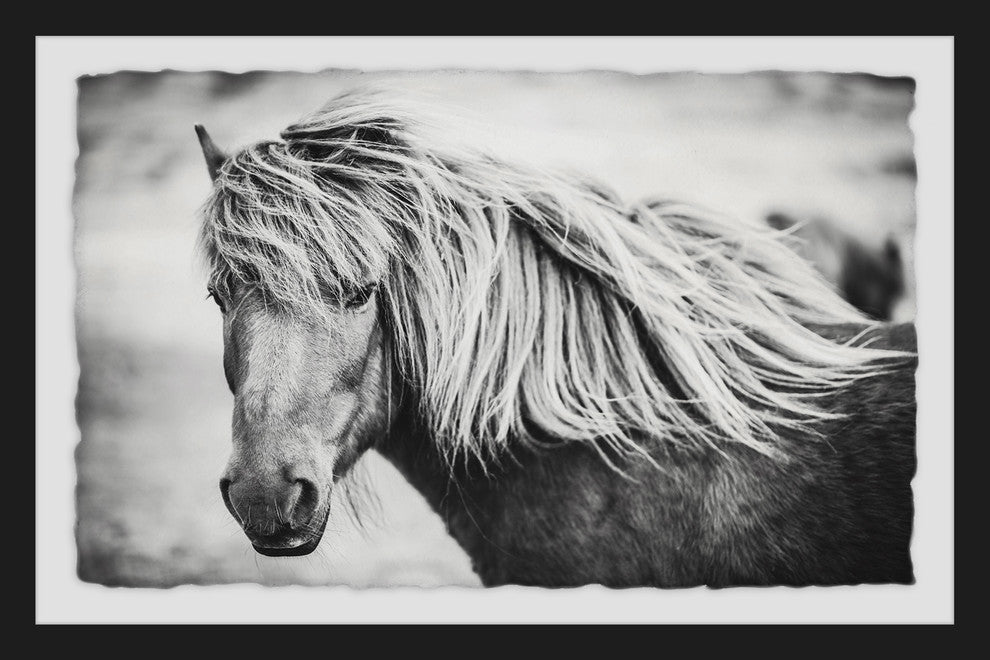 "Beautiful Mane" Framed Painting Print, 12"x8"