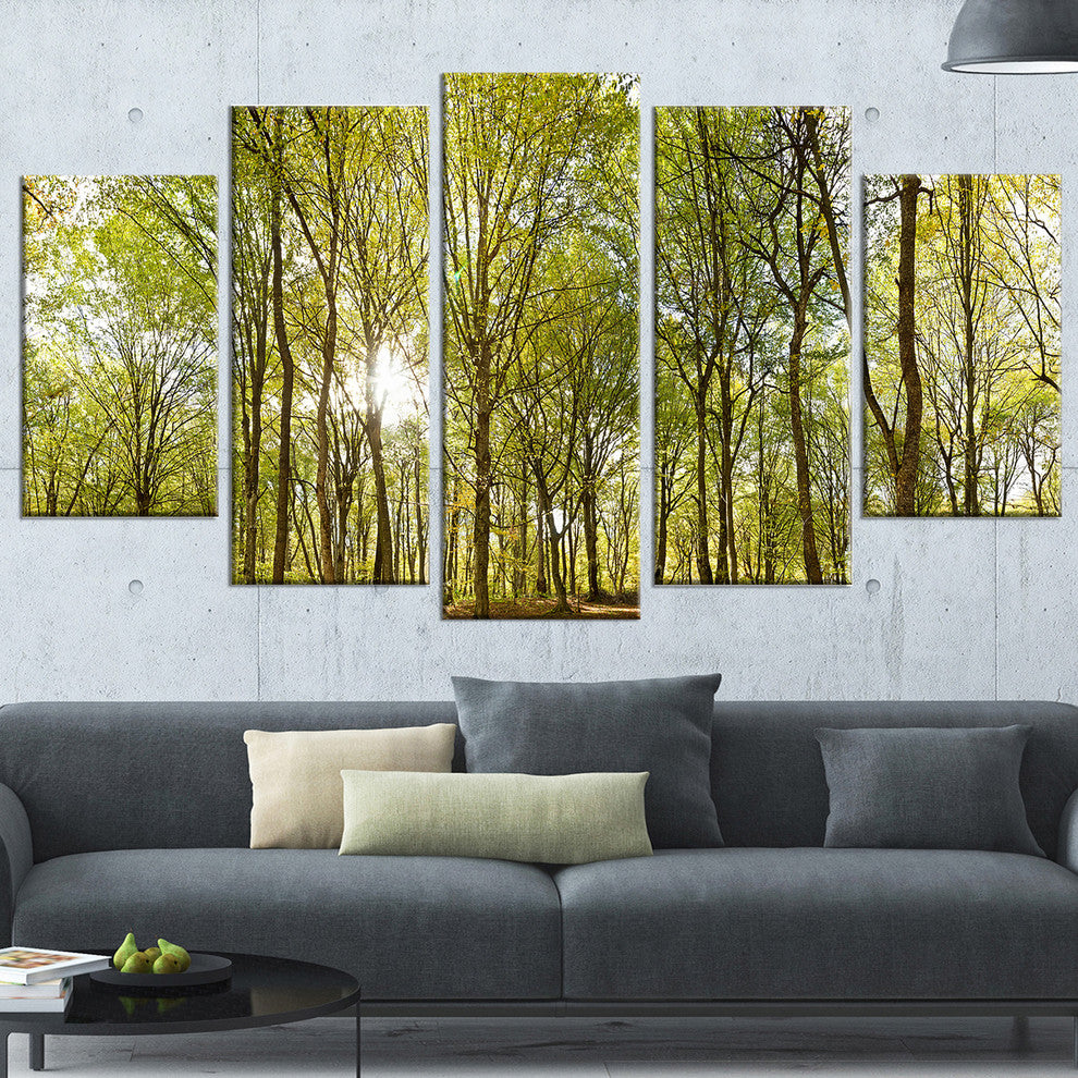 "Green Forest Panoramic View" Canvas Print, 5 Panels