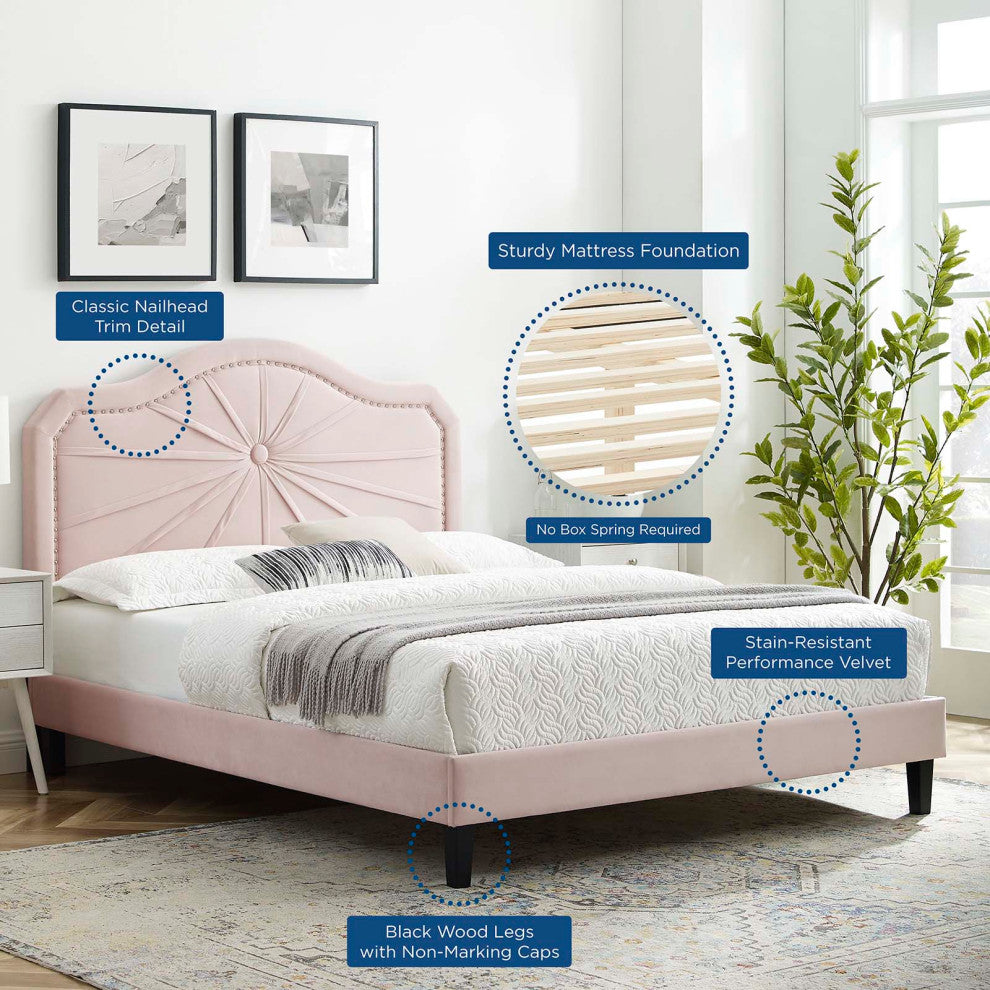 Platform Bed Frame, Full Size, Velvet, Pink, Modern Contemporary, Bedroom Master