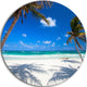Coconut Palms At Beach, Photo Landscape Round Wall Art, 36"