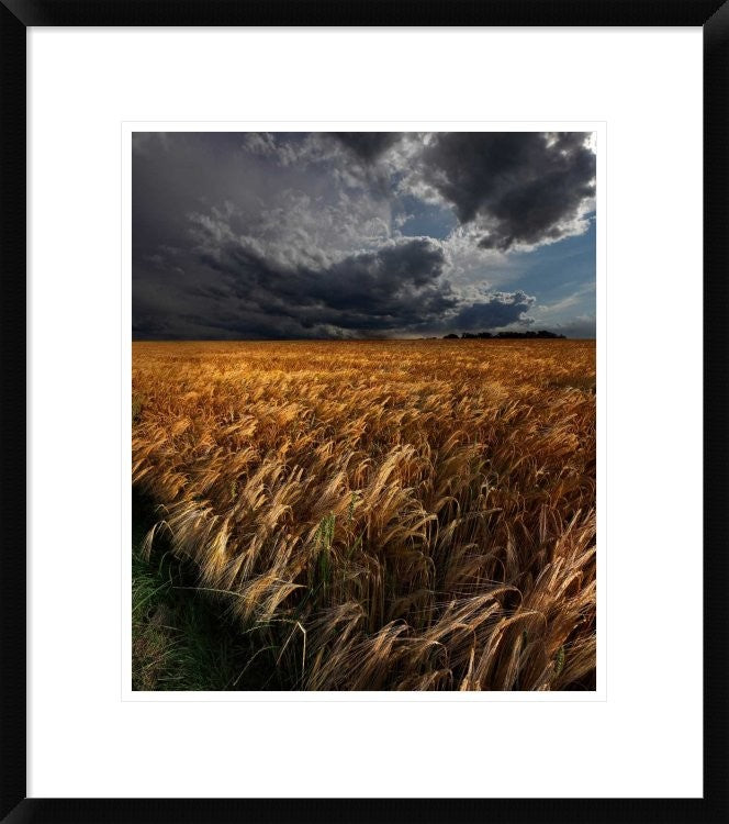 "Strohgaeu" Framed Digital Print by Franz Schumacher, 21x24"