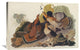 "Ruffed Grouse" Artwork, 36" x 24"