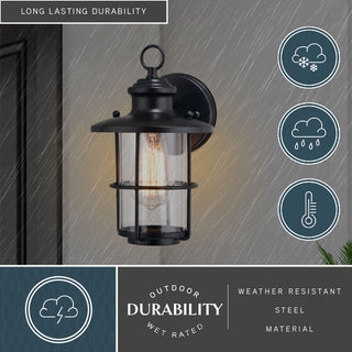 Lake Shore Steel 1 Light Black Coastal Outdoor Wall Lantern Clear Glass