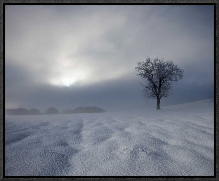 "Winter Impression" Framed Canvas Giclee by Franz Schumacher, 17x14"