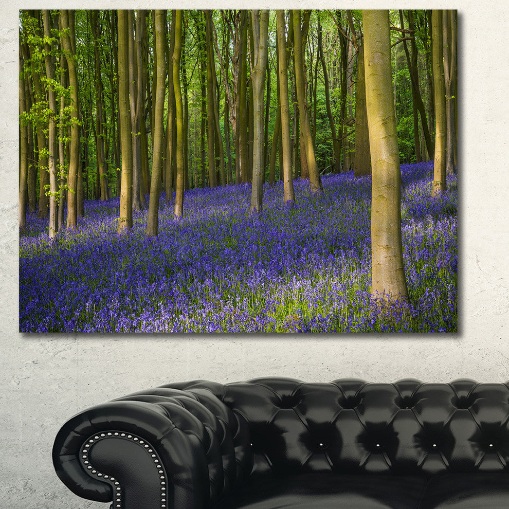 Bluebell Woods in Oxfordshire, Large landscape Canvas Art Print, 60x40