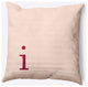 20" x 20" Modern Monogram Indoor/Outdoor Polyester Throw Pillow, Cranberry
