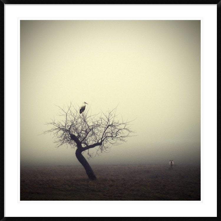 "Meeting In The Morning" Framed Digital Print by Holger Droste, 44x44"