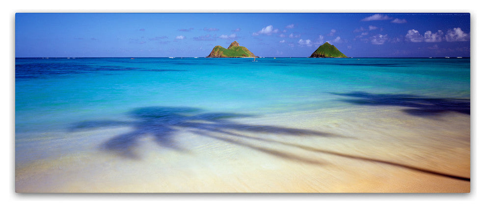 'Mokulua-Hawaii' Canvas Art by David Evans