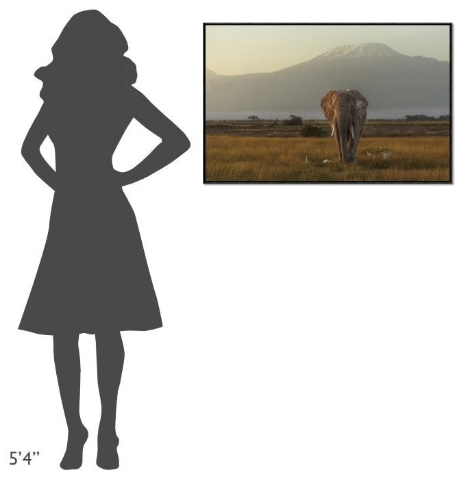 Under The Roof Of Africa, 36"x24"