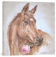 "Horse With Rose" by Debi Coules, Canvas Print, 12"x12"