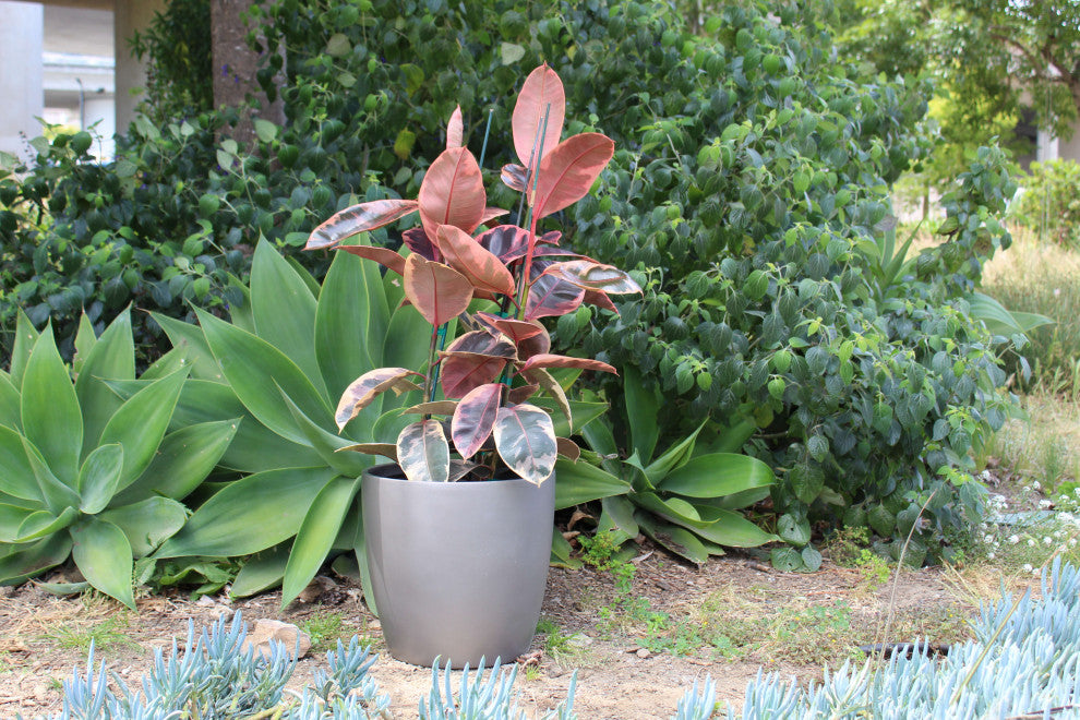 Napa Round Cylinder Planter, Gray, 22"x21.5"