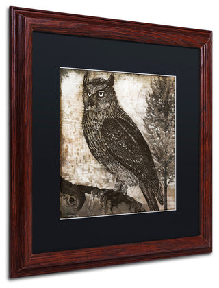 Color Bakery 'Owl 2' Art, Wood Frame, Black Matte, 16"x16"