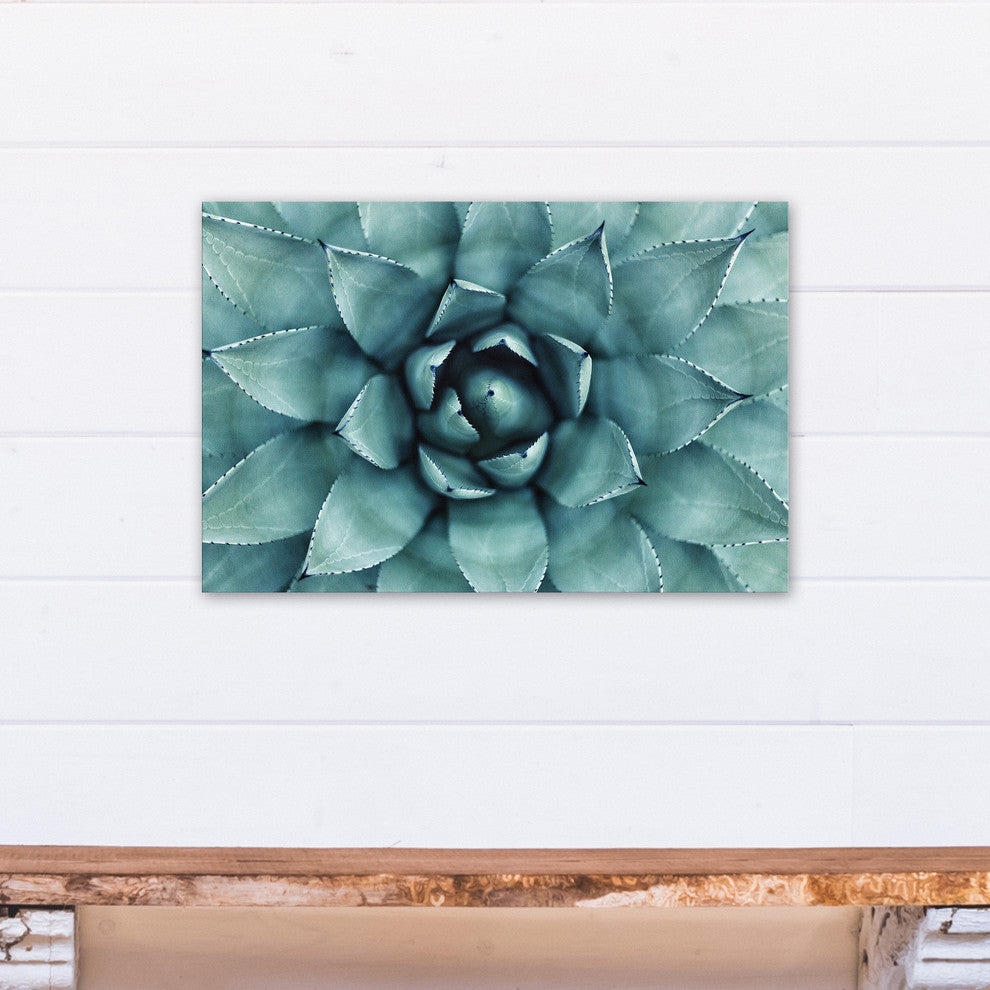 "Agave 3" Canvas Wall Art, 24"x16"