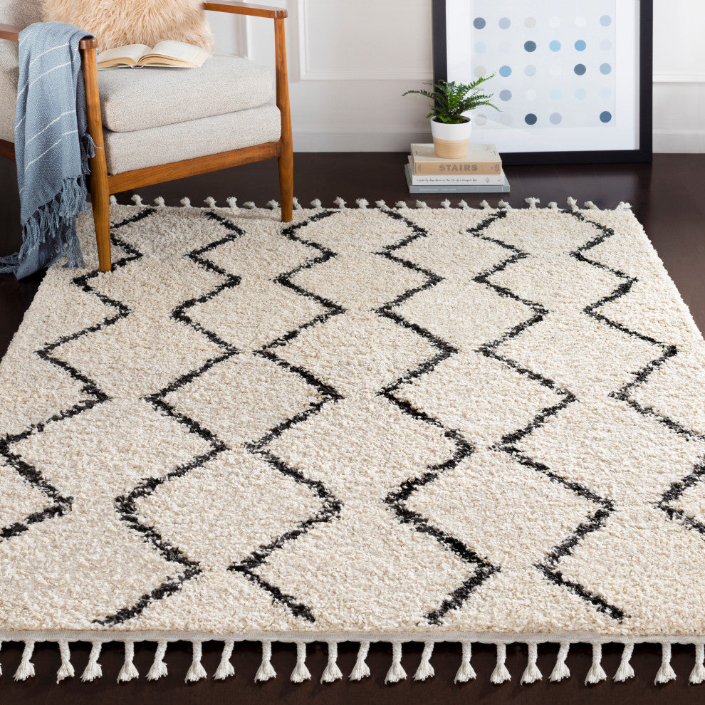 Berber Shag Bohemian Global Charcoal, Beige Area Rug, 2'x3'