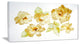 "Brown Flowers With White Shade" Canvas Print, 40"x20"