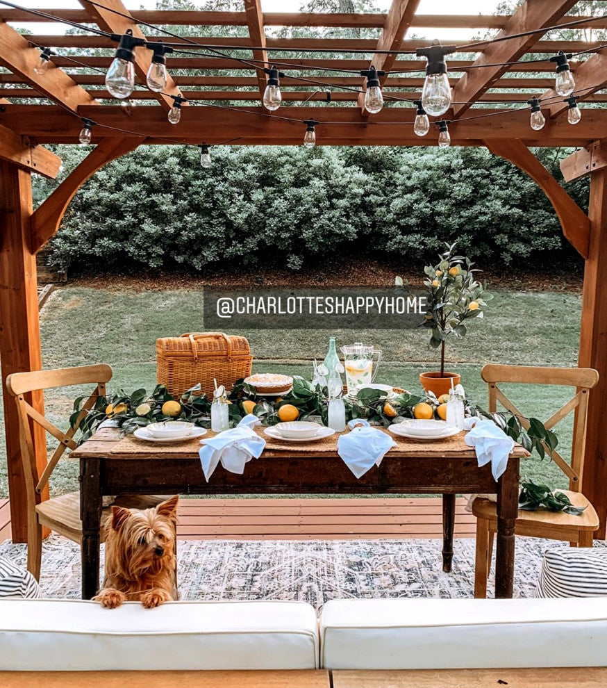 Ambience Pro Solar 1.5W, 27' Edison Outdoor String Lights, Hanging, Warm White