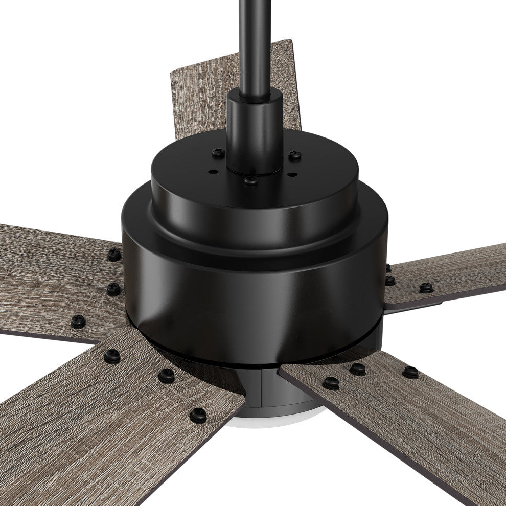 CARRO Modern LED Ceiling Fan with Remote and Dimmable Light, Black, 60"