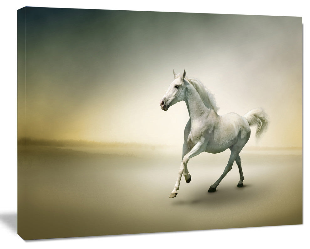 White Horse in Motion, Animal Canvas Art Print, 20"x12"
