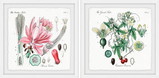 "Beauty Starts Here Diptych" Framed Prints, 24"x24", 2-Piece Set