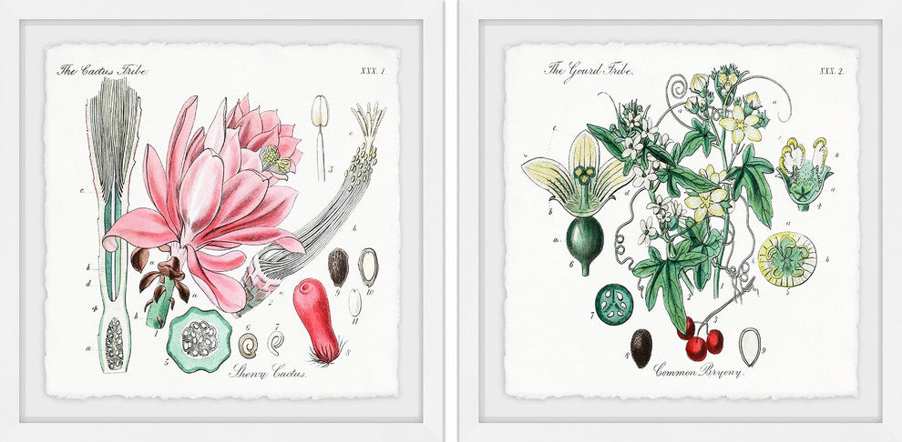 "Beauty Starts Here Diptych" Framed Prints, 24"x24", 2-Piece Set