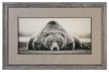 Uttermost 33661 32 Inch x 50 Inch "Deep Sleep" Framed Art Print - Pine