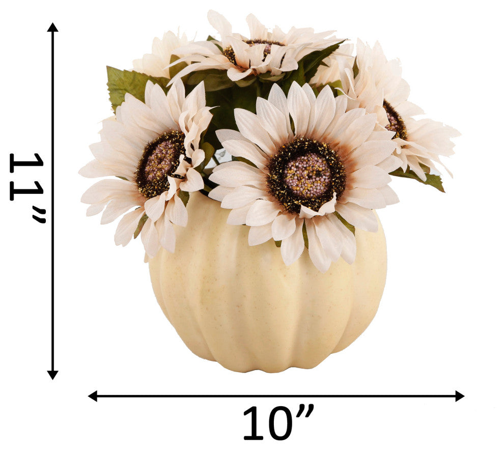 10" Cream Sunflowers In Pumpkin