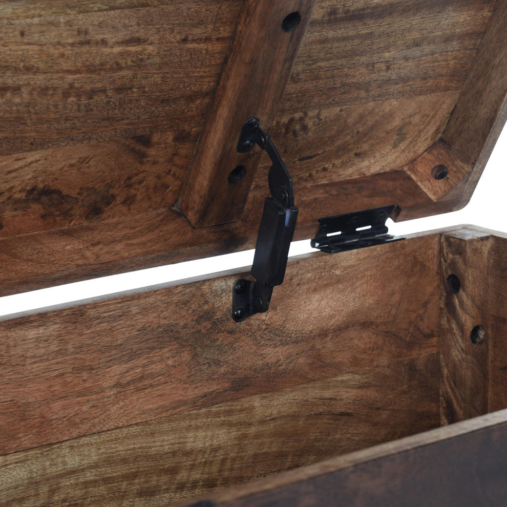 Axis 46" Storage Trunk by Kosas Home, Dark Brown