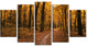 Path in the Yellow Fall Forest, Modern Forest Canvas Art, 60"x32", 5 Panels